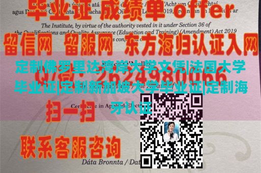 定制佛罗里达湾岸大学文凭|法国大学毕业证|定制新加坡大学毕业证|定制海牙认证